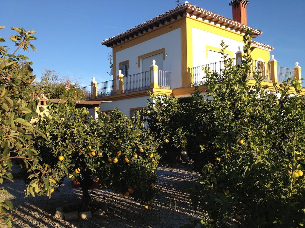Alojamiento Colina Del Sol Torrox Exterior foto