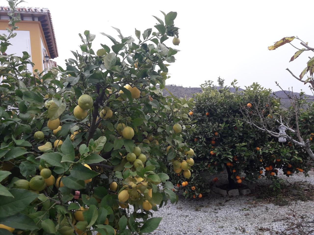 Alojamiento Colina Del Sol Torrox Exterior foto